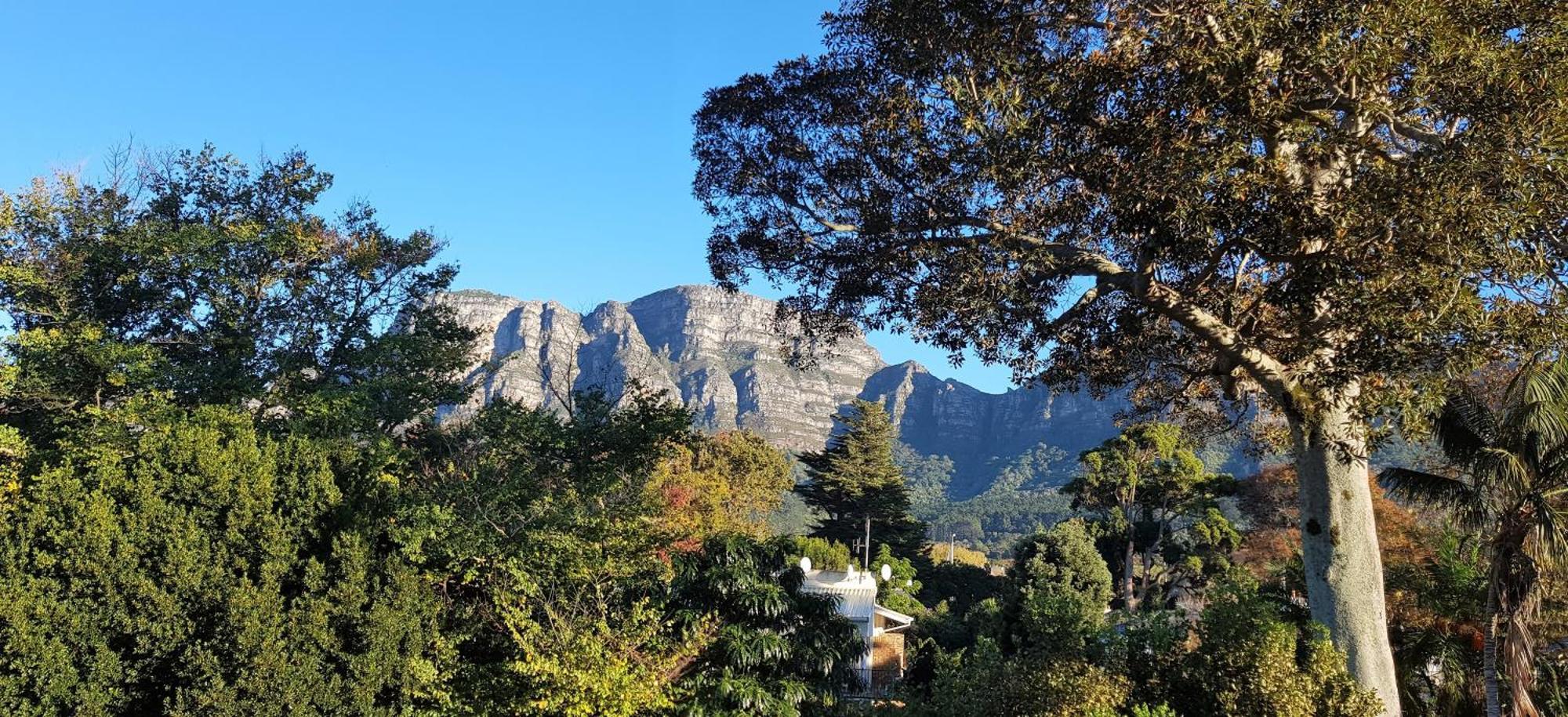 Riversong Guest House Kaapstad Buitenkant foto